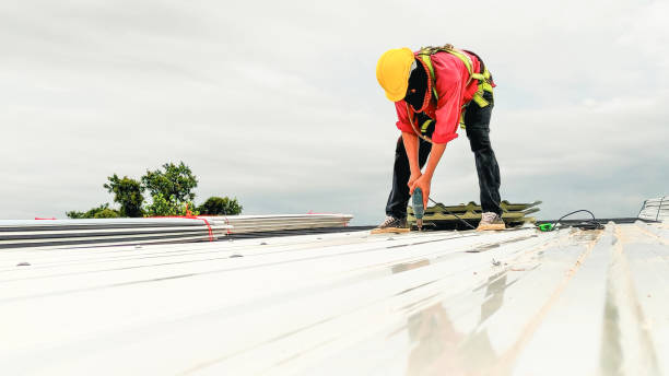 Best Sheet Metal Roofing  in Yorkvle, IL